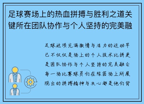 足球赛场上的热血拼搏与胜利之道关键所在团队协作与个人坚持的完美融合