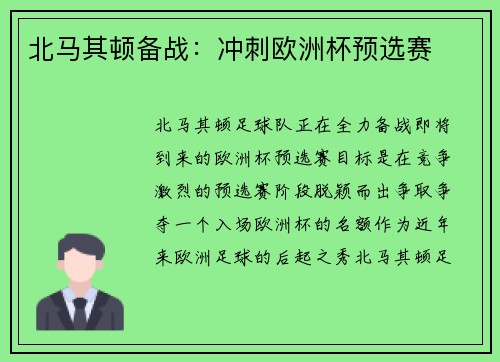 北马其顿备战：冲刺欧洲杯预选赛
